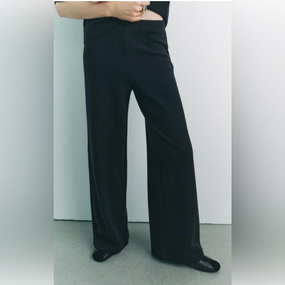 Zara Semi-Sheer Wide Leg Pants